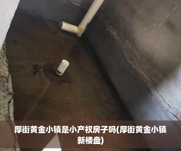 厚街黄金小镇是小产权房子吗(厚街黄金小镇新楼盘)