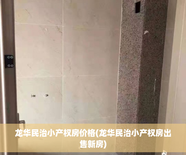 龙华民治小产权房价格(龙华民治小产权房出售新房)