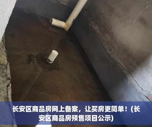 长安区商品房网上备案，让买房更简单！(长安区商品房预售项目公示)
