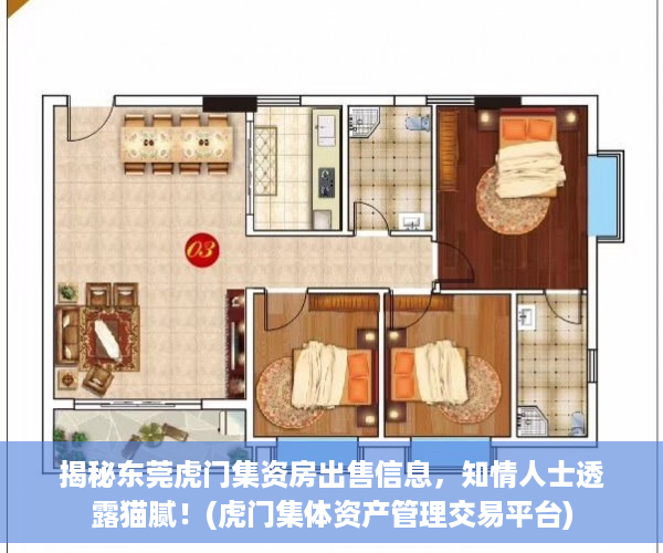 揭秘东莞虎门集资房出售信息，知情人士透露猫腻！(虎门集体资产管理交易平台)