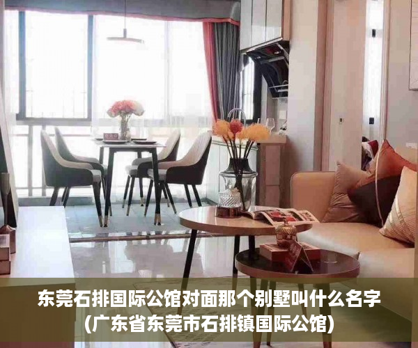 东莞石排国际公馆对面那个别墅叫什么名字(广东省东莞市石排镇国际公馆)