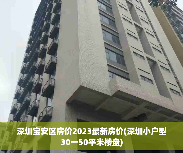 深圳宝安区房价2023最新房价(深圳小户型30一50平米楼盘)