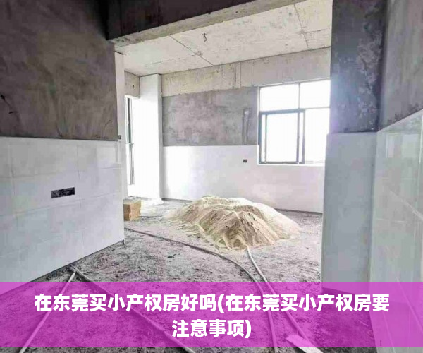 在东莞买小产权房好吗(在东莞买小产权房要注意事项)