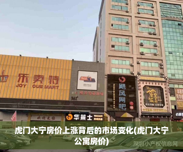 虎门大宁房价上涨背后的市场变化(虎门大宁公寓房价)