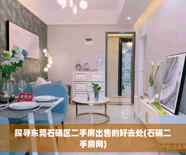 探寻东莞石碣区二手房出售的好去处(石碣二手房网)