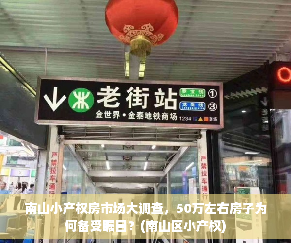 南山小产权房市场大调查，50万左右房子为何备受瞩目？(南山区小产权)