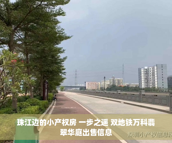 珠江边的小产权房 一步之遥 双地铁万科翡翠华庭出售信息