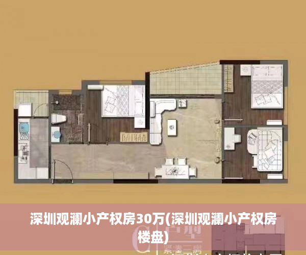 深圳观澜小产权房30万(深圳观澜小产权房楼盘)