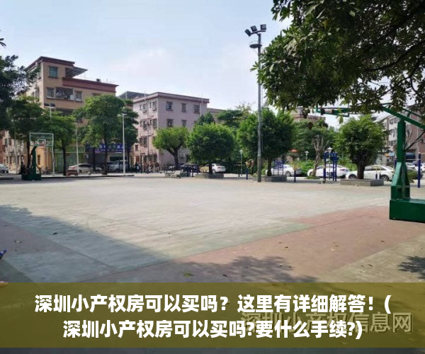 深圳小产权房可以买吗？这里有详细解答！(深圳小产权房可以买吗?要什么手续?)