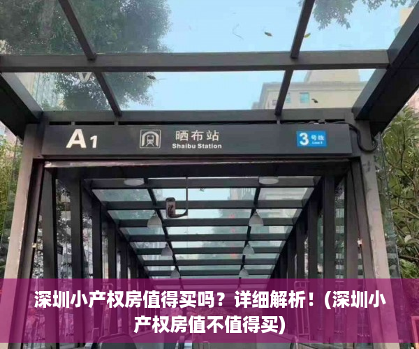 深圳小产权房值得买吗？详细解析！(深圳小产权房值不值得买)