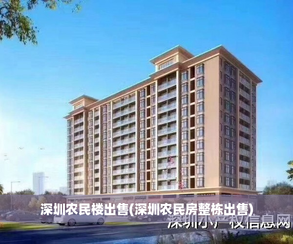 深圳农民楼出售(深圳农民房整栋出售)