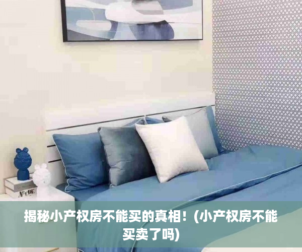 揭秘小产权房不能买的真相！(小产权房不能买卖了吗)