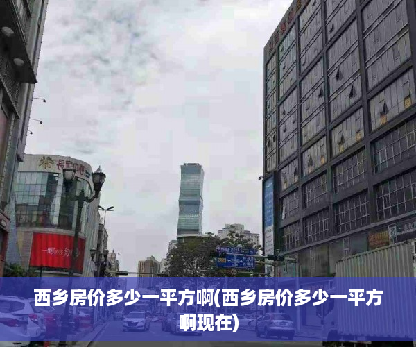西乡房价多少一平方啊(西乡房价多少一平方啊现在)