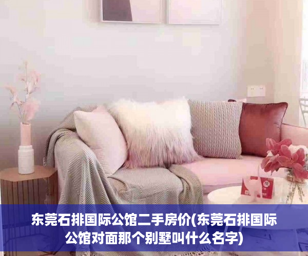 东莞石排国际公馆二手房价(东莞石排国际公馆对面那个别墅叫什么名字)