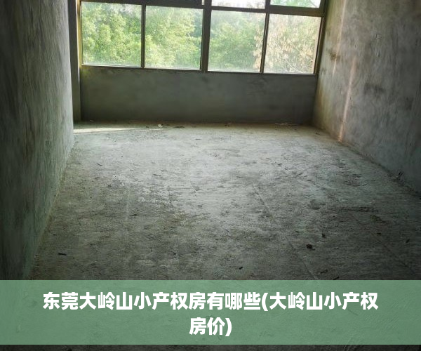 东莞大岭山小产权房有哪些(大岭山小产权房价)