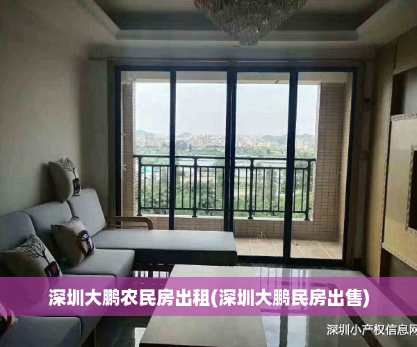 深圳大鹏农民房出租(深圳大鹏民房出售)