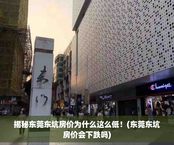 揭秘东莞东坑房价为什么这么低！(东莞东坑房价会下跌吗)