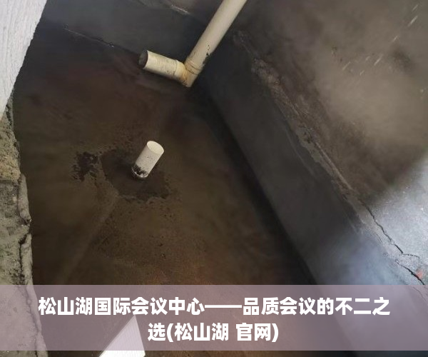 松山湖国际会议中心——品质会议的不二之选(松山湖 官网)