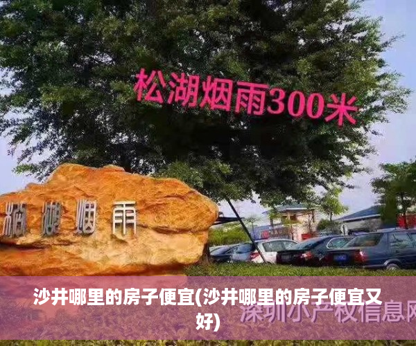 沙井哪里的房子便宜(沙井哪里的房子便宜又好)