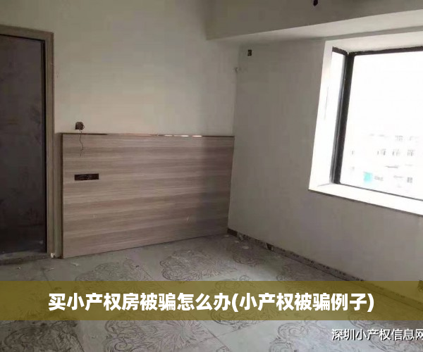 买小产权房被骗怎么办(小产权被骗例子)