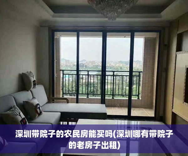 深圳带院子的农民房能买吗(深圳哪有带院子的老房子出租)
