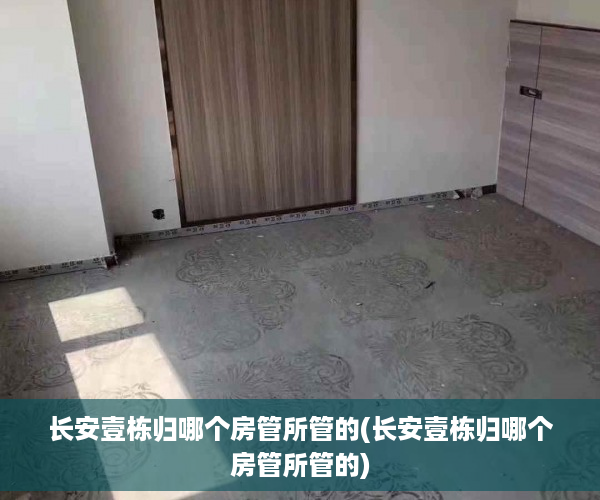 长安壹栋归哪个房管所管的(长安壹栋归哪个房管所管的)