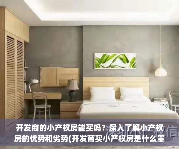 开发商的小产权房能买吗？深入了解小产权房的优势和劣势(开发商买小产权房是什么罪)