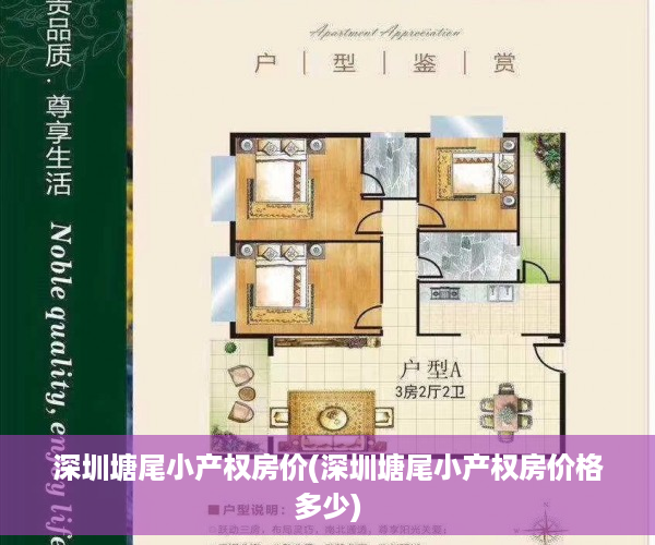 深圳塘尾小产权房价(深圳塘尾小产权房价格多少)