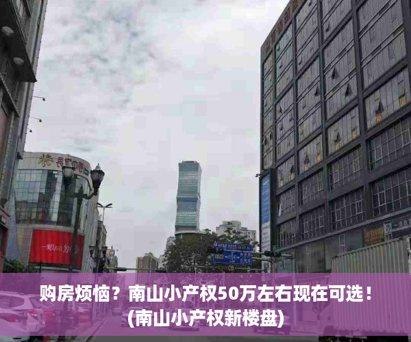 购房烦恼？南山小产权50万左右现在可选！(南山小产权新楼盘)