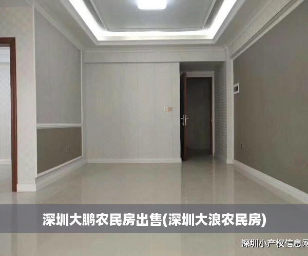 深圳大鹏农民房出售(深圳大浪农民房)