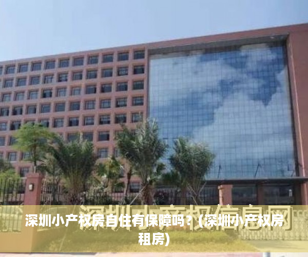 深圳小产权房自住有保障吗？(深圳小产权房租房)