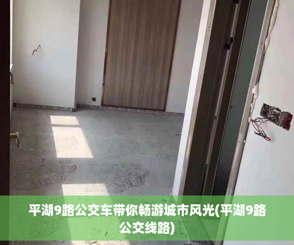 平湖9路公交车带你畅游城市风光(平湖9路公交线路)