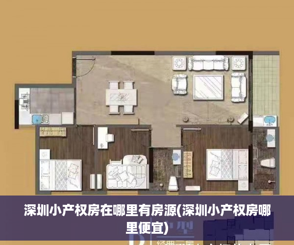 深圳小产权房在哪里有房源(深圳小产权房哪里便宜)