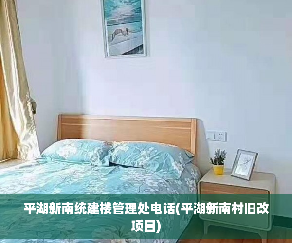 平湖新南统建楼管理处电话(平湖新南村旧改项目)