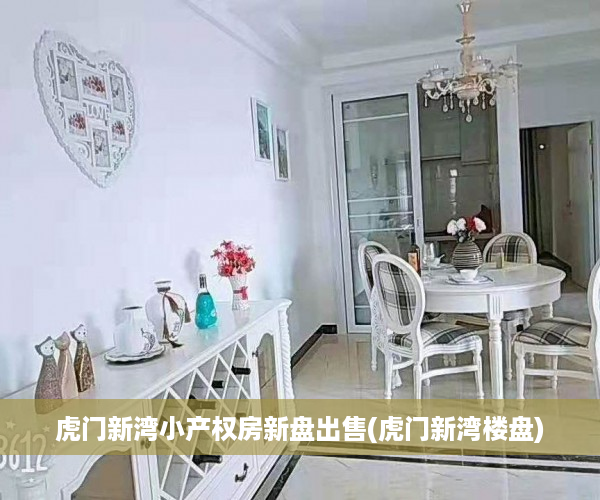 虎门新湾小产权房新盘出售(虎门新湾楼盘)