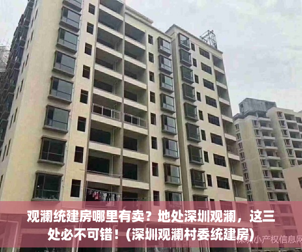 观澜统建房哪里有卖？地处深圳观澜，这三处必不可错！(深圳观澜村委统建房)