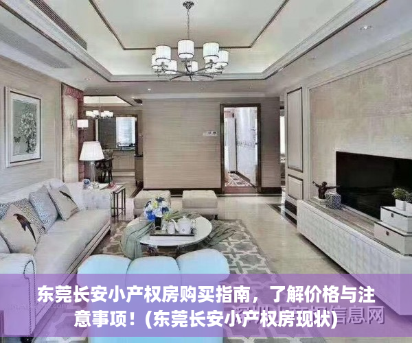 东莞长安小产权房购买指南，了解价格与注意事项！(东莞长安小产权房现状)