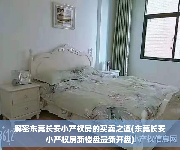 解密东莞长安小产权房的买卖之道(东莞长安小产权房新楼盘最新开盘)