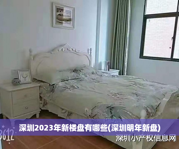 深圳2023年新楼盘有哪些(深圳明年新盘)