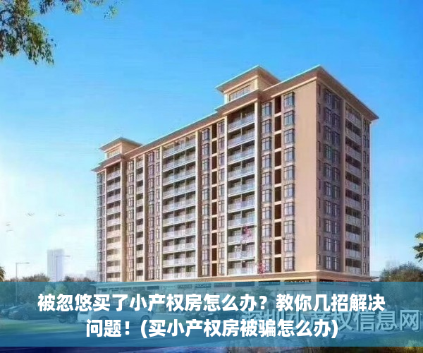 被忽悠买了小产权房怎么办？教你几招解决问题！(买小产权房被骗怎么办)