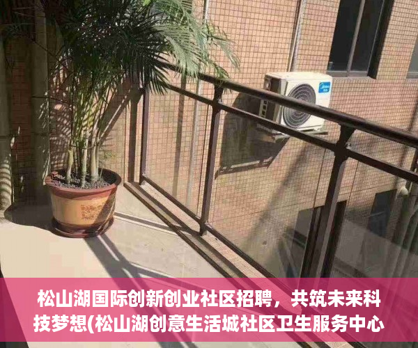 松山湖国际创新创业社区招聘，共筑未来科技梦想(松山湖创意生活城社区卫生服务中心)