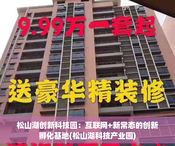松山湖创新科技园：互联网+新常态的创新孵化基地(松山湖科技产业园)