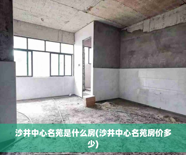 沙井中心名苑是什么房(沙井中心名苑房价多少)