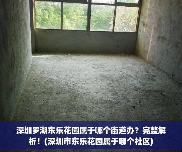 深圳罗湖东乐花园属于哪个街道办？完整解析！(深圳市东乐花园属于哪个社区)