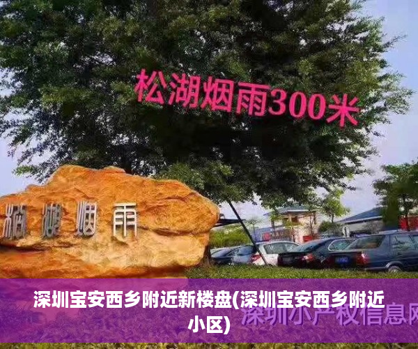 深圳宝安西乡附近新楼盘(深圳宝安西乡附近小区)