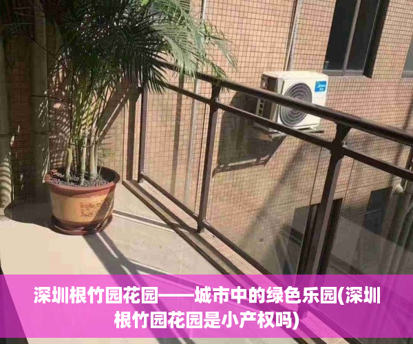 深圳根竹园花园——城市中的绿色乐园(深圳根竹园花园是小产权吗)