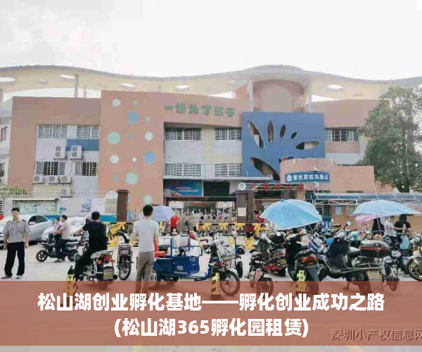 松山湖创业孵化基地——孵化创业成功之路(松山湖365孵化园租赁)