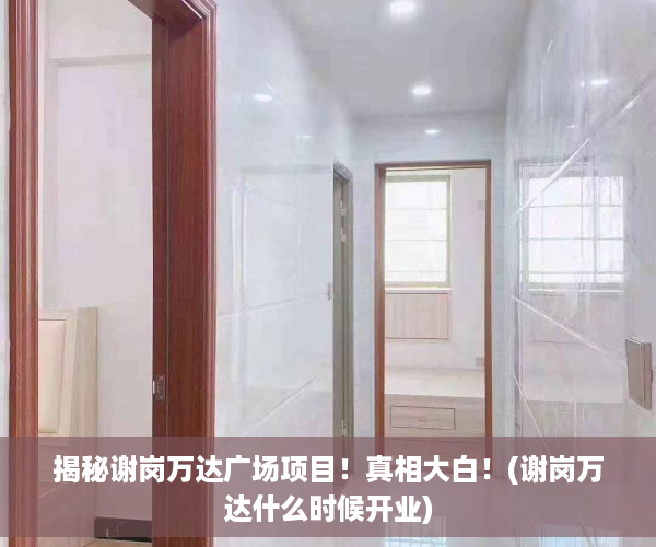揭秘谢岗万达广场项目！真相大白！(谢岗万达什么时候开业)