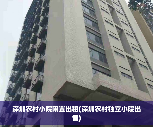 深圳农村小院闲置出租(深圳农村独立小院出售)