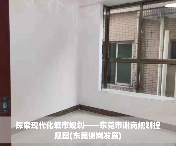 探索现代化城市规划——东莞市谢岗规划控规图(东莞谢岗发展)